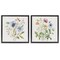 Stupell Industries Wild Flower Botanical Bundles 2pc Floating Frame Set, design by Nicole DeCamp
